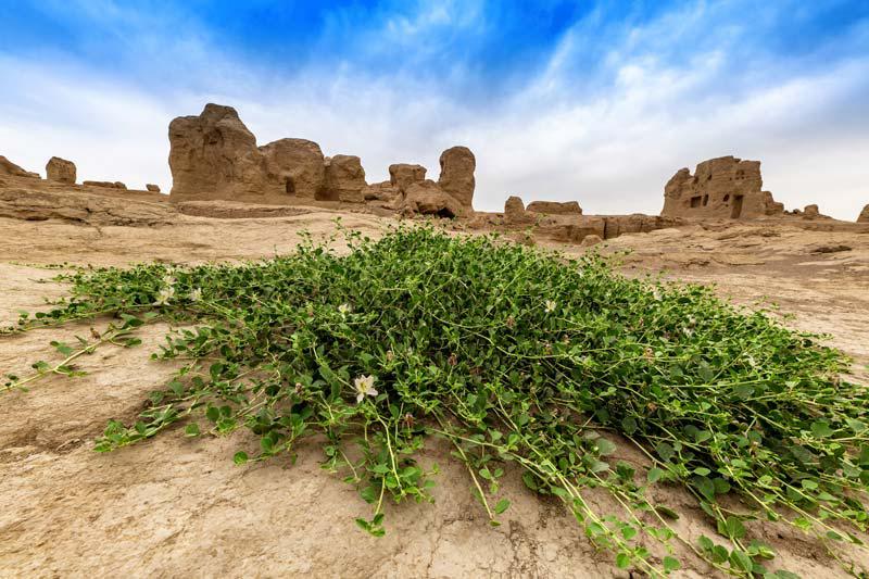 Veille ville jiaohe à Xinjiang