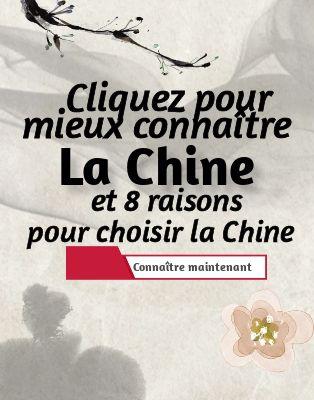 La Grande Muraille de Chine