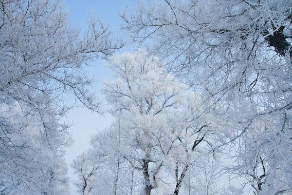 Merveille de givre blanc sur la rivière Songhua à Jilin