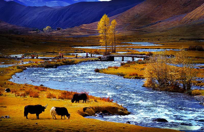 Le paysage de Sichuan Occidental en automne