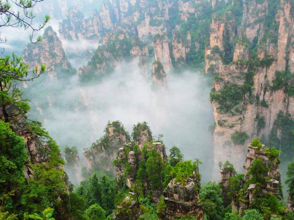 Le parc forestier de Zhangjiajie