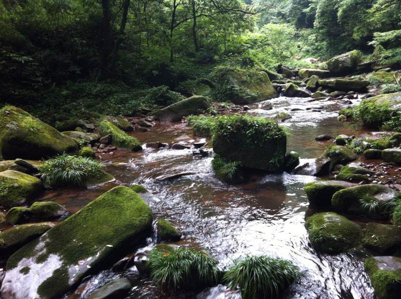 La base des pandas géants de Bifengxia