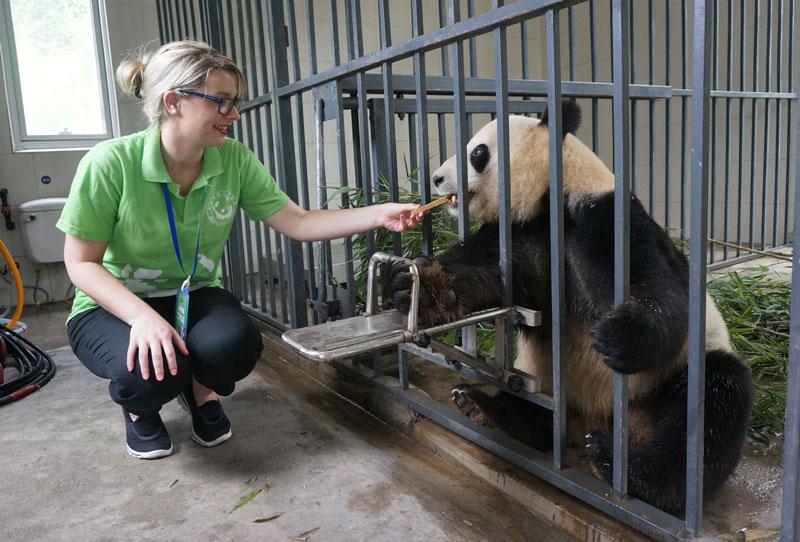 Dujiangyan Panda Base