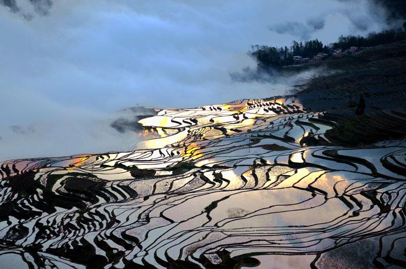 Rizières en terrasses gorgées d'eau de Yuanyang