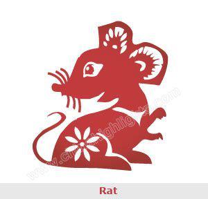 Le rat à la première place