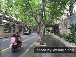 Avenue bordée d'arbres dans la concession française